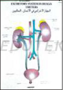 Special Human physiology Charts polyarts