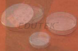 PETRI DISH