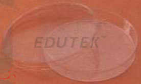 PETRI DISH