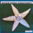 ANATOMY OF STARFISH